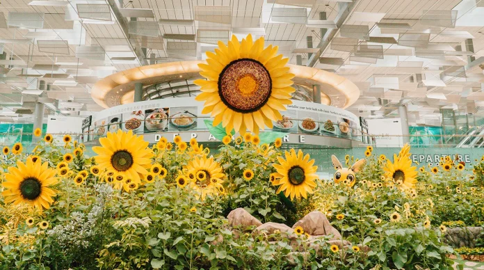 A Blooming Delight: Changi Airport’s 'A Sunflower Sojourn' Brightens All 4 Terminals