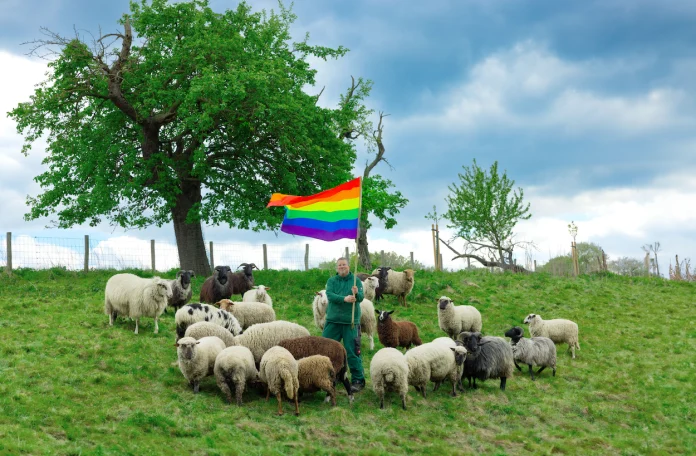 Gay Sheep's Wool: A Colorful Push for Global LGBTQIA+ Equality