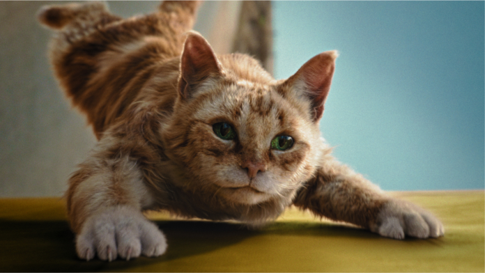 Cats Go to Hilarious Lengths for DREAMIES Treats